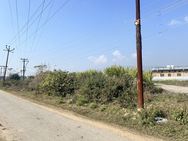  Residential Plot 8 Biswa for Sale in Nahan, Sirmour