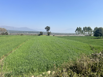  Agricultural Land for Sale in Paonta Sahib, Sirmour