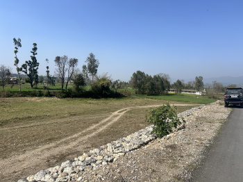  Industrial Land for Sale in Moginand, Sirmour