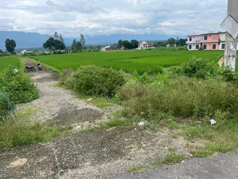  5 Bigha Agricultural/Farm Land for Sale in Paonta Sahib, Sirmour