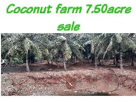  Agricultural Land for Sale in Gandhipuram, Coimbatore