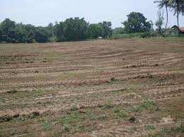  Residential Plot for Sale in Amar Shaheed Path, Lucknow