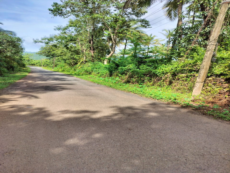  Agricultural Land 31500 Sq. Meter for Sale in Canacona, Goa