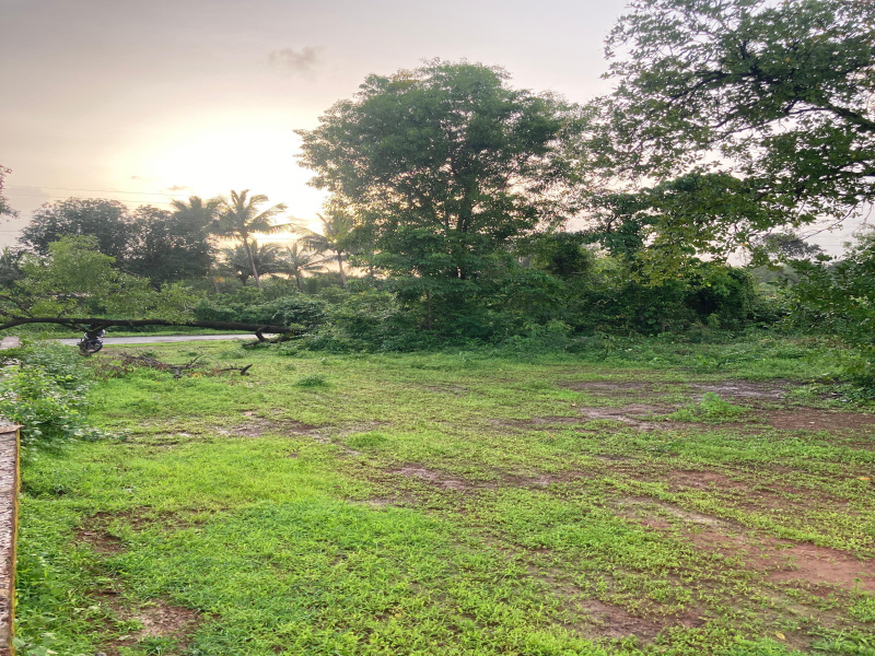 1 RK Farm House 92 Guntha for Sale in Kankavli, Sindhudurg