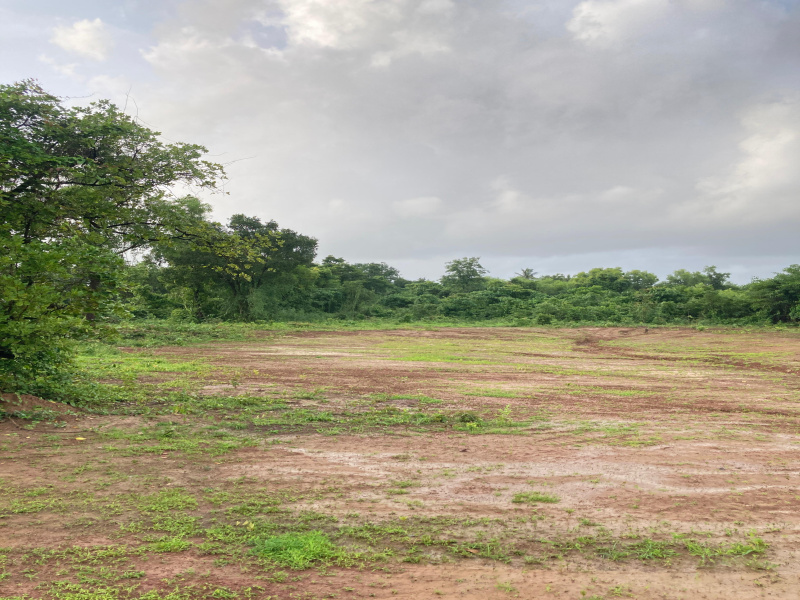 1 RK Farm House 92 Guntha for Sale in Kankavli, Sindhudurg