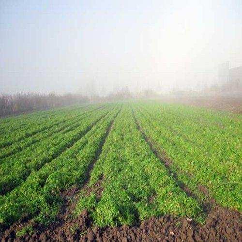 Agricultural Land 45000 Sq. Meter for Sale in South Goa