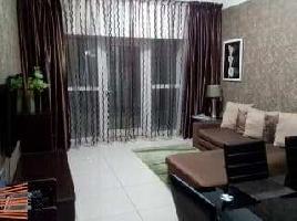 2 BHK Flat for Rent in Palm Beach Road, Navi Mumbai