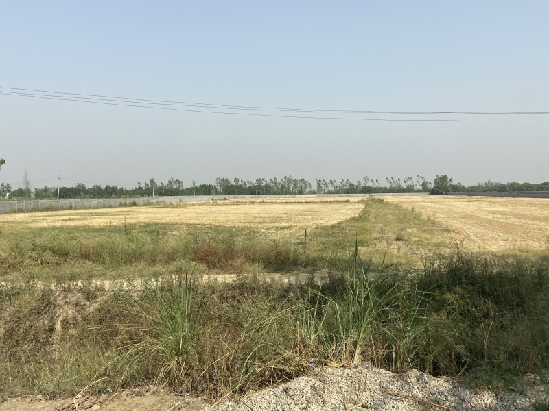 Industrial Land 35000 Sq. Yards for Sale in Meerut Central
