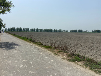  Agricultural Land for Sale in Delhi Road, Meerut