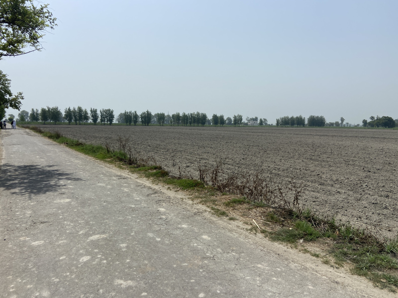  Agricultural Land 50000 Sq. Yards for Sale in Garh Road, Meerut