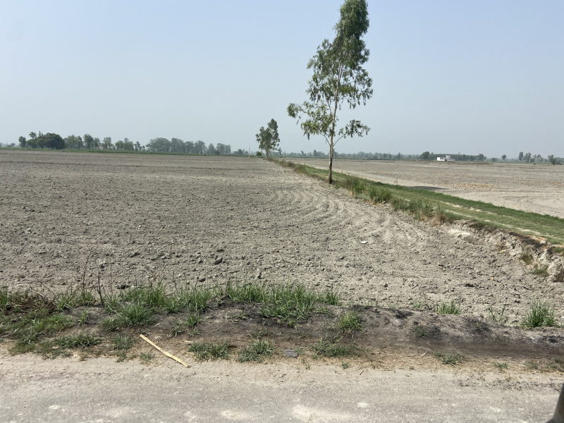 Agricultural Land 50000 Sq. Yards for Sale in Garh Road, Meerut
