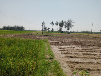  Agricultural Land for Sale in Madurantakam, Chennai