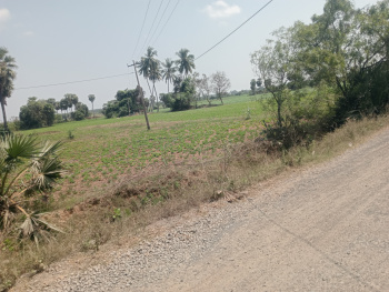  Agricultural Land for Sale in Madurantakam, Chennai