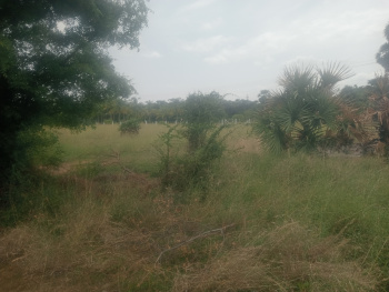  Agricultural Land for Sale in Uthiramerur, Kanchipuram