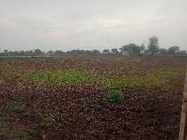  Agricultural Land for Sale in Kuwarti, Bundi