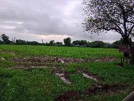  Agricultural Land for Sale in Rajat Grah Colony, Bundi