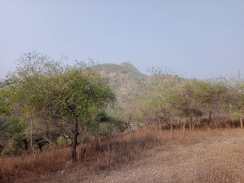  Agricultural Land for Sale in Chand Pole, Udaipur