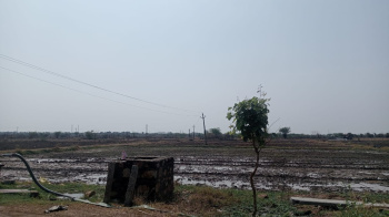  Agricultural Land for Sale in Khandar, Sawai Madhopur