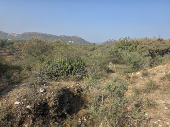  Agricultural Land for Sale in Kurabad, Udaipur
