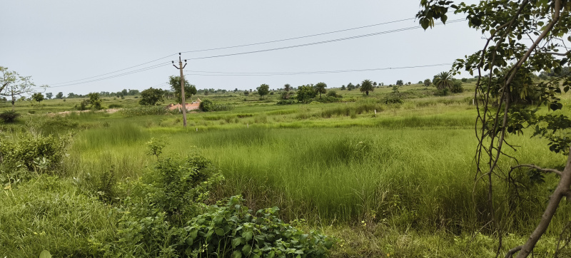  Residential Plot 50 Katha for Sale in Dubrajpur, Birbhum