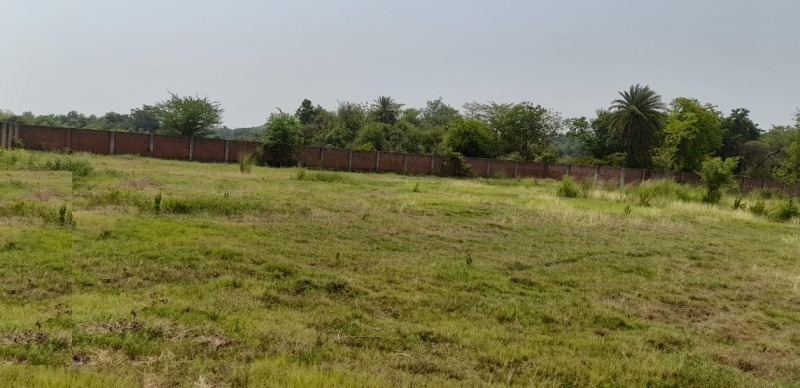  Residential Plot 8 Bigha for Sale in Morichkotha, Asansol