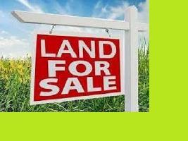  Residential Plot for Sale in Sarada Pally, Asansol