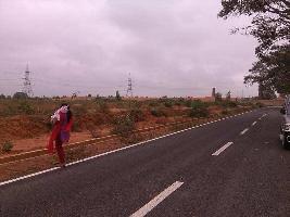  Commercial Land for Rent in Malur, Bangalore