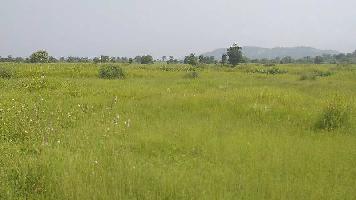  Residential Plot for Sale in Pali, Raigad
