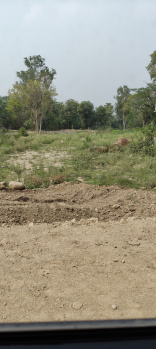  Commercial Land for Sale in Chilgadi, Dharamsala
