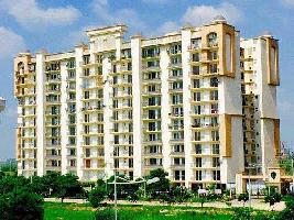 4 BHK Flat for Sale in Sector 104 Chandigarh