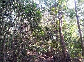 Commercial Land for Sale in South Goa