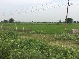  Agricultural Land for Sale in Himatnagar, Sabarkantha