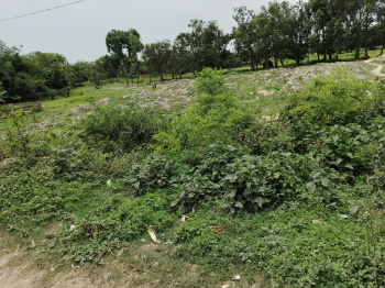  Commercial Land for Sale in Basauli, Madhubani