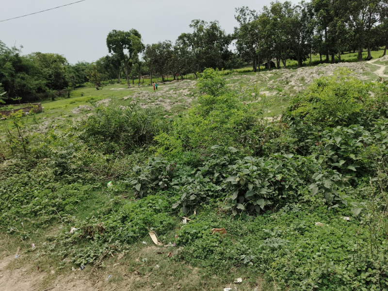  Commercial Land 6 Katha for Sale in Basauli, Madhubani