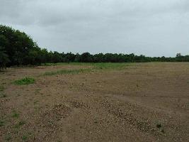  Agricultural Land for Sale in Chharwada, Vapi