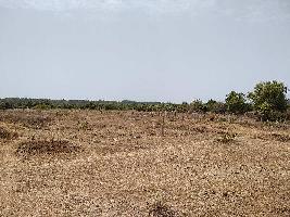  Agricultural Land for Sale in Sarigam, Vapi
