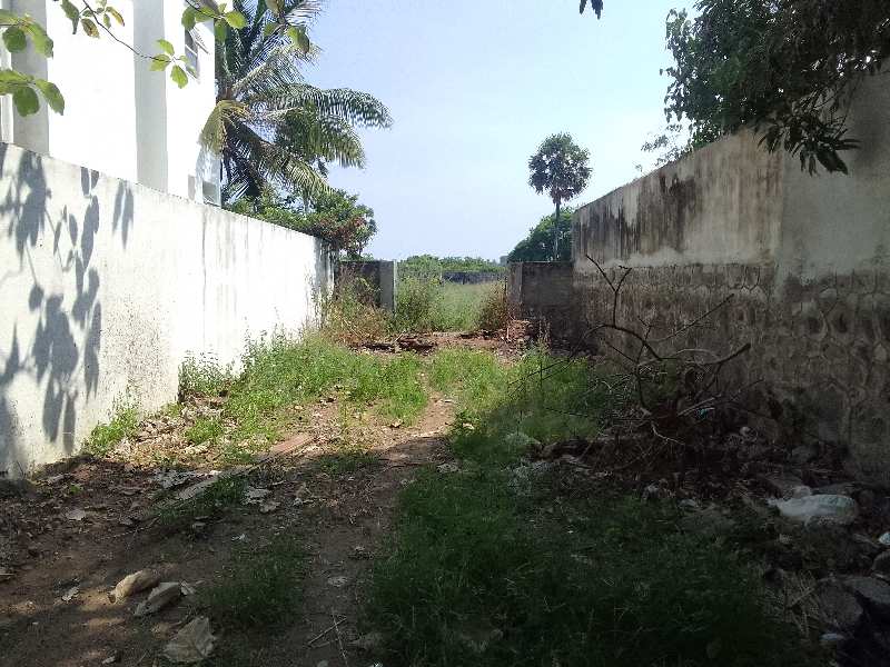 Agricultural Land 6600 Sq.ft. for Sale in Muttukadu, Chennai