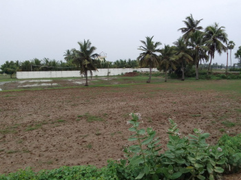  Agricultural Land for Sale in Thirukalukundram, Kanchipuram