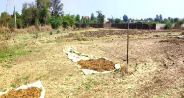  Commercial Land for Sale in Dakor, Kheda
