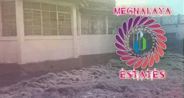 3 BHK House for Sale in Laban, Shillong