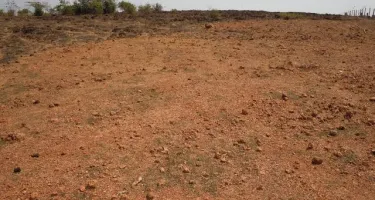Residential Plot for Sale in Magarpatta, Pune