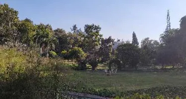 3 BHK Farm House for Sale in Dera Mandi, Delhi