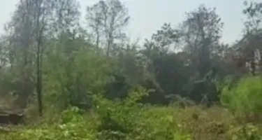 Industrial Land for Sale in Pilerne, North Goa,