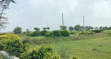 Residential Plot for Sale in Ambala City