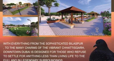  Residential Plot for Sale in Rajkishor Nagar, Bilaspur