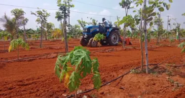  Agricultural Land for Sale in Medavakkam, Chennai