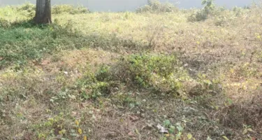  Residential Plot for Sale in Puthenkurish, Ernakulam
