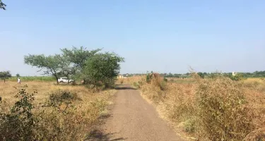  Agricultural Land for Sale in Pardi, Vapi