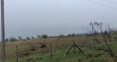 Industrial Land for Sale in Vadoli, Surat