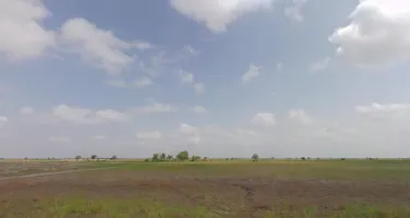  Agricultural Land for Sale in Dholera, Ahmedabad